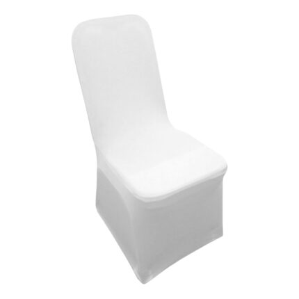 CH03-wc(SP) Sne-w Chair (SP)